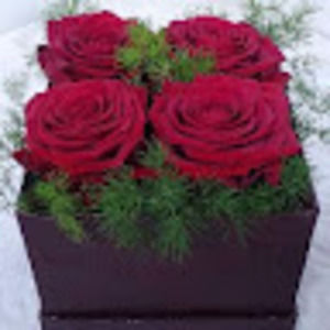 Meet your Posher, Aicha